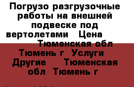 Погрузо-разгрузочные работы на внешней подвеске под вертолетами › Цена ­ 1 000 000 - Тюменская обл., Тюмень г. Услуги » Другие   . Тюменская обл.,Тюмень г.